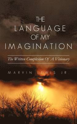 bokomslag Language Of My Imagination