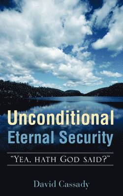 bokomslag Unconditional Eternal Security