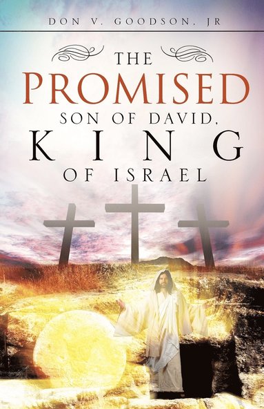 bokomslag Promised Son of David, King of Israel