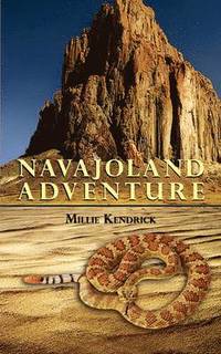 bokomslag Navajoland Adventure