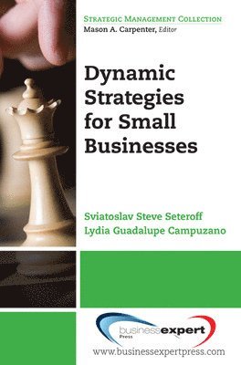 bokomslag Dynamic Strategies for Small Businesses