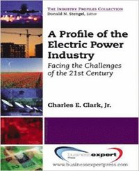 bokomslag Profile of the Electric Power Industry: Facing the Challenges of the 21st Century