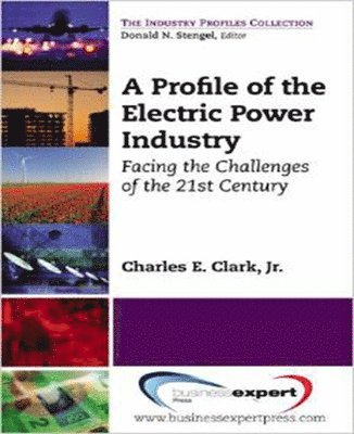 bokomslag A Profile of the Electric Power Industry: Facing the Challenges of the 21st Century