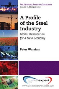 bokomslag Profile of the Steel Industry: Global Reinvention for a New Economy