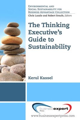 Applying Systems Thinking to Understanding Sustainable Business 1