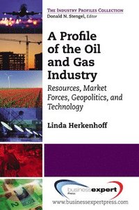 bokomslag A Profile of the Oil and Gas Industry: Resources, Market Forces, Geopolitics, and Technology