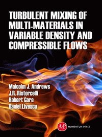 bokomslag Turbulent Mixing of Multi-Materials in Variable Density and Compressible Flows