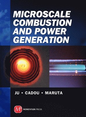 Microscale Combustion and Power Generation 1