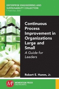 bokomslag Continuous Process Improvement in Organizations Large and Small