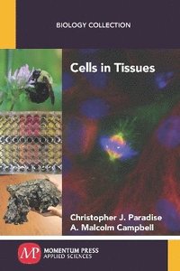bokomslag Cells in Tissues