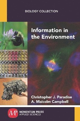 Information in the Environment 1