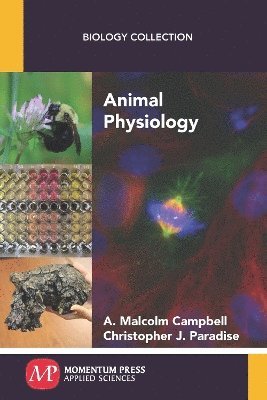 bokomslag Animal Physiology