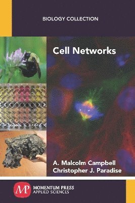 bokomslag Cell Networks