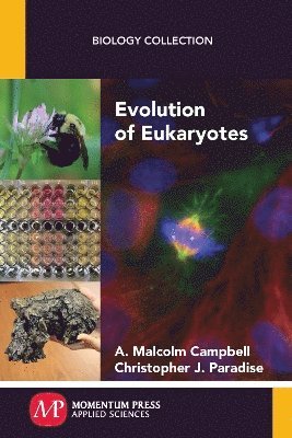 bokomslag Evolution of Eukaryotes