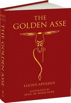 Golden Asse 1
