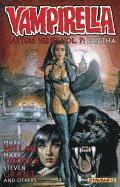 bokomslag Vampirella Masters Series Volume 7: Pantha