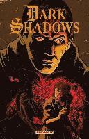 bokomslag Dark Shadows Volume 2