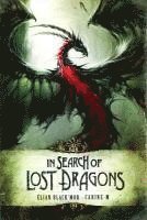 bokomslag In Search of Lost Dragons