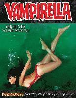 bokomslag Vampirella Archives Volume 14