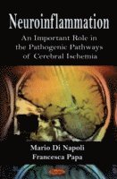 bokomslag Neuroinflammation