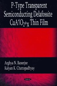 bokomslag P-Type Transparent Semiconducting Delafossite CuA102+x Thin Film