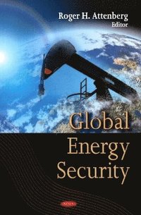 bokomslag Global Energy Security