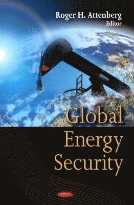 bokomslag Global Energy Security