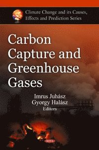 bokomslag Carbon Capture & Greenhouse Gases
