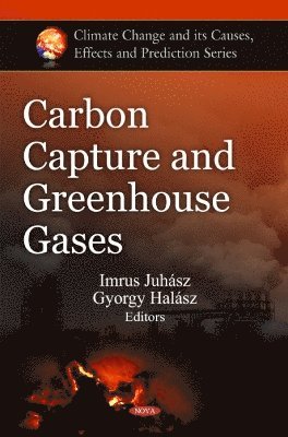 bokomslag Carbon Capture & Greenhouse Gases