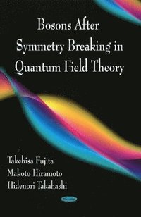 bokomslag Bosons After Symmetry Breaking in Quantum Field Theory