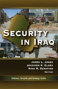 bokomslag Security in Iraq