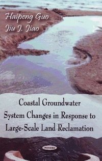 bokomslag Coastal Groundwater System Changes in Response to Large-Scale Land Reclamation