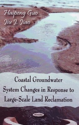 bokomslag Coastal Groundwater System Changes in Response to Large-Scale Land Reclamation