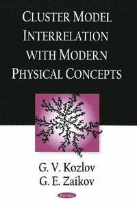 bokomslag Cluster Model Interrelation with Modern Physical Concepts