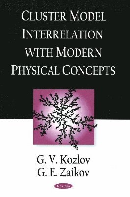 bokomslag Cluster Model Interrelation with Modern Physical Concepts