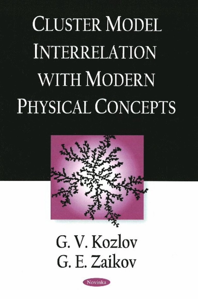 G V Kozlov, G E Zaikov - Cluster Model Interrelation with Modern Physical Concepts, Häftad