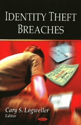 bokomslag Identity Theft Breaches