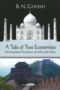 bokomslag Tale of Two Economies