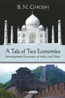bokomslag Tale of Two Economies
