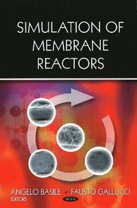 bokomslag Simulation of Membrane Reactors