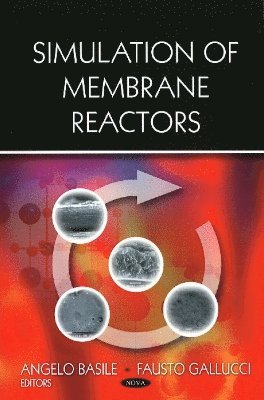 bokomslag Simulation of Membrane Reactors
