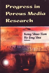 bokomslag Progress in Porous Media Research
