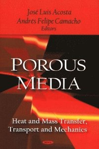 bokomslag Porous Media