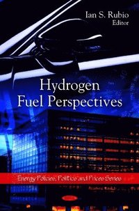 bokomslag Hydrogen Fuel Perspectives