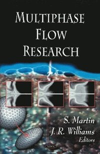 bokomslag Multiphase Flow Research