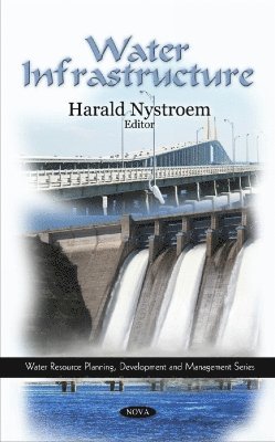 bokomslag Water Infrastructure