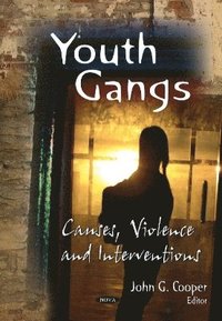 bokomslag Youth Gangs