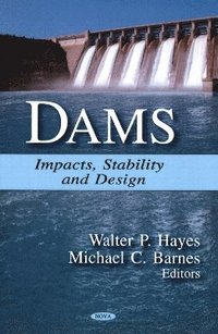 bokomslag Dams