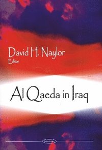bokomslag Al Qaeda in Iraq