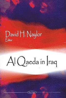 bokomslag Al Qaeda in Iraq